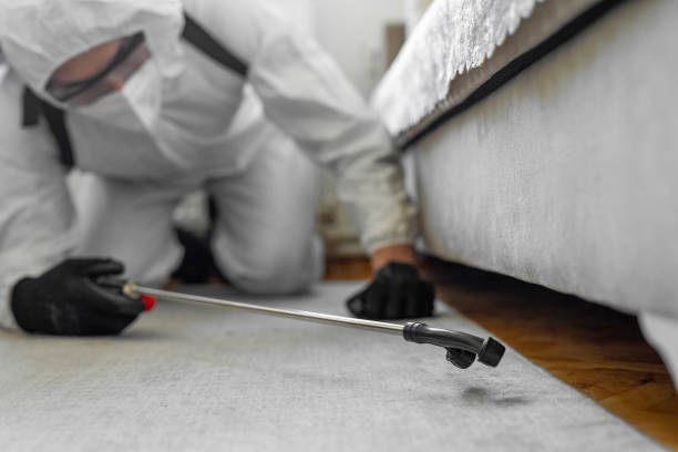 Professional Bed Bug Control technician working in Lynbrook, NY